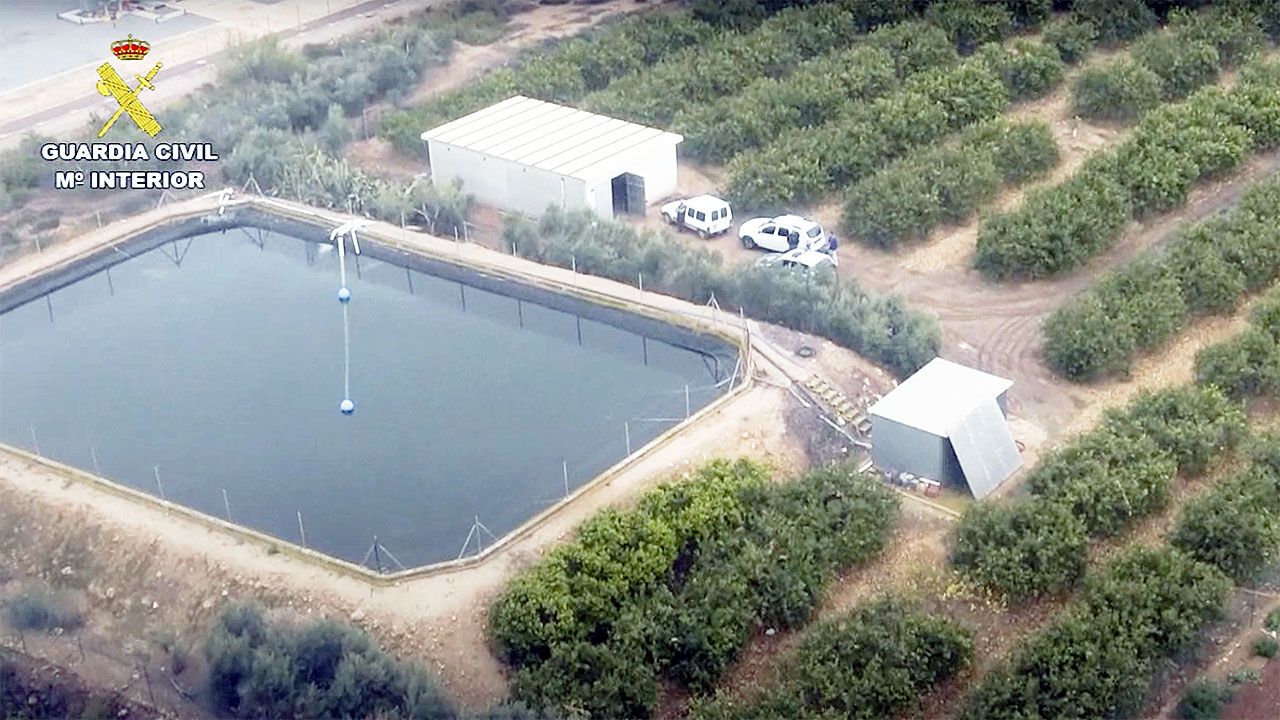 El juez muestra que empresas agrícolas aceleraron los vertidos al Mar Menor a pesar de la 'sopa verde'