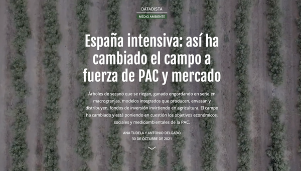 La investigación de DATADISTA 'España intensiva', mención especial en los Premios Ortega y Gasset 2022