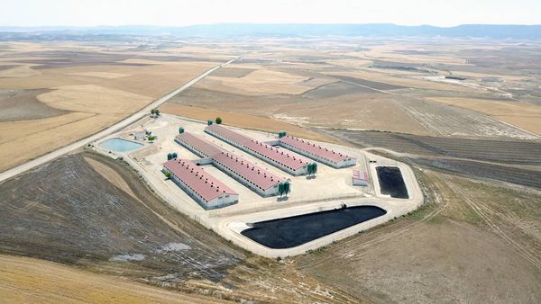 "El oscuro rastro en el agua del negocio de la carne barata" gana el premio europeo Climate Journalism Award 2023 al mejor trabajo de Datos